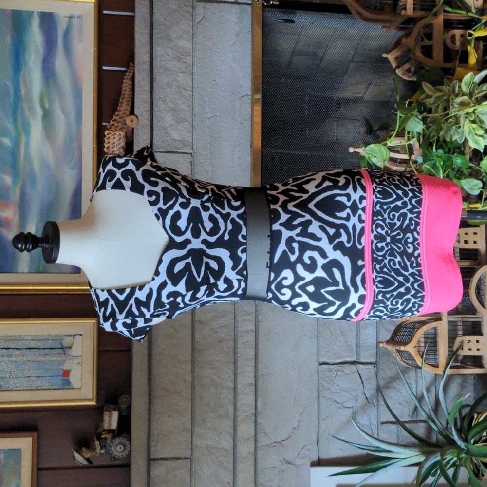 Awesome Flirty Alt. B Dress with Sheer Midsection Small Black White Neon Pink